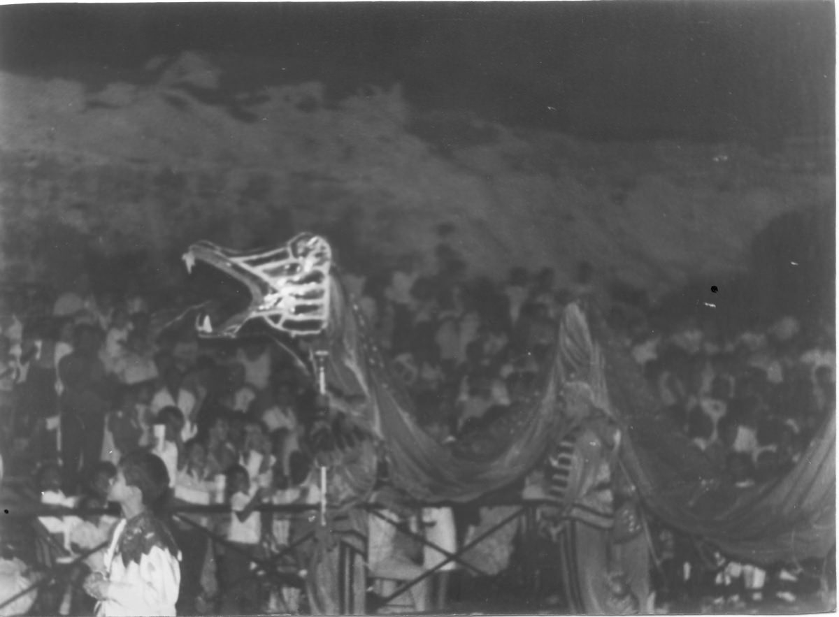 Карнавал 15 июля 1989 23