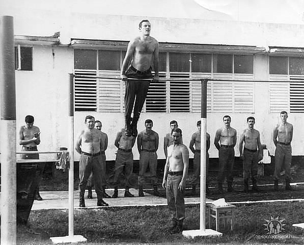 1983, артдивизион