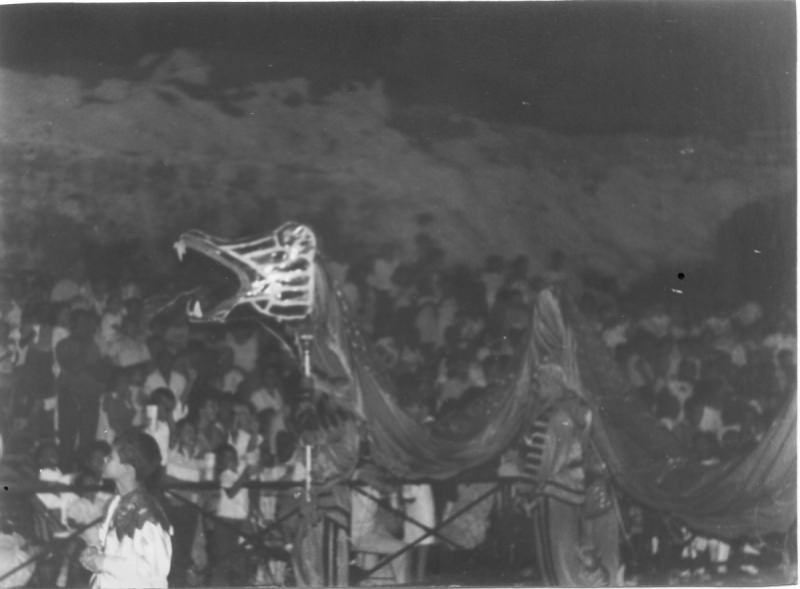 Карнавал 15 июля 1989 23